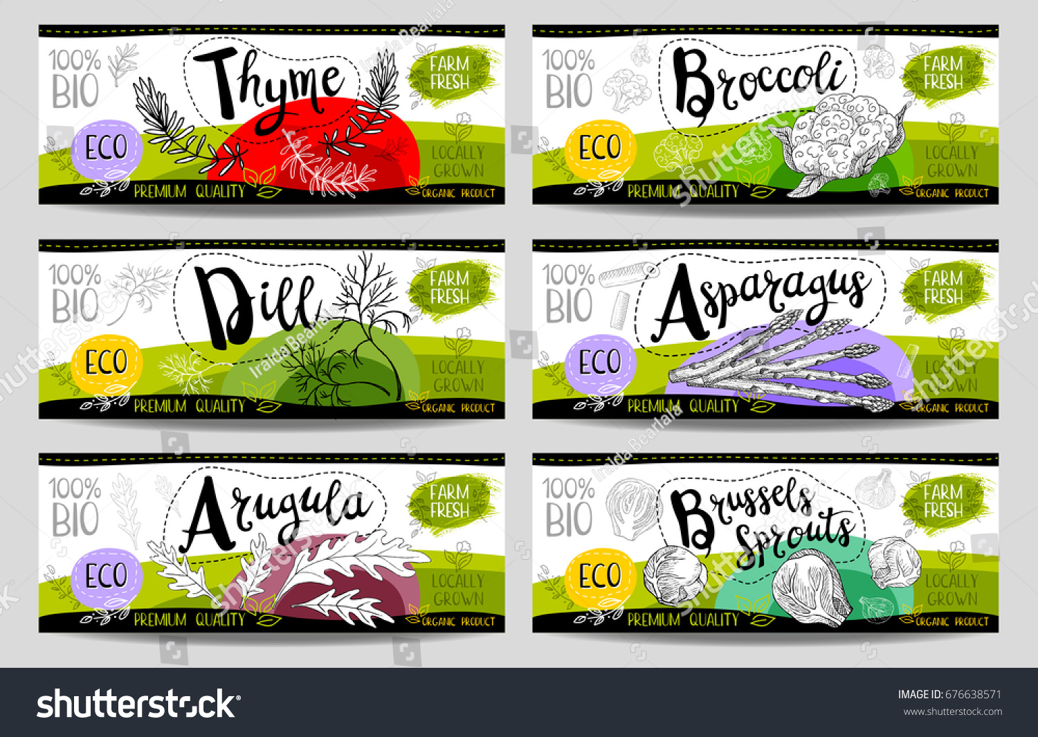 Set of colorful stickers sketch style food spices white horizontal. Asparagus brussels sprouts broccoli thyme arugula dill. Vegetables farm fresh locally grown  Hand drawn vector illustration