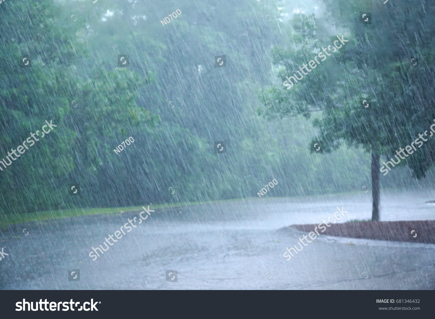 heavy rain and tree in the parking lot