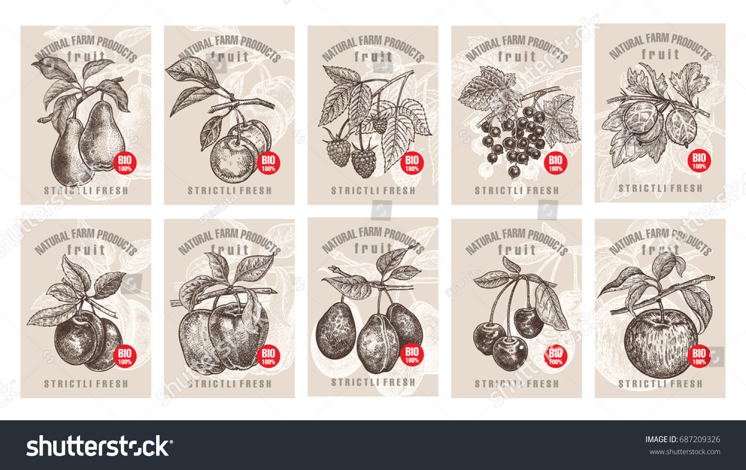 Labels with various fruits  berries and inscriptions. Set templates price tags for shops and markets of organic vegetarian food. Vector illustration art. Vintage. Hand drawing of nature objects.