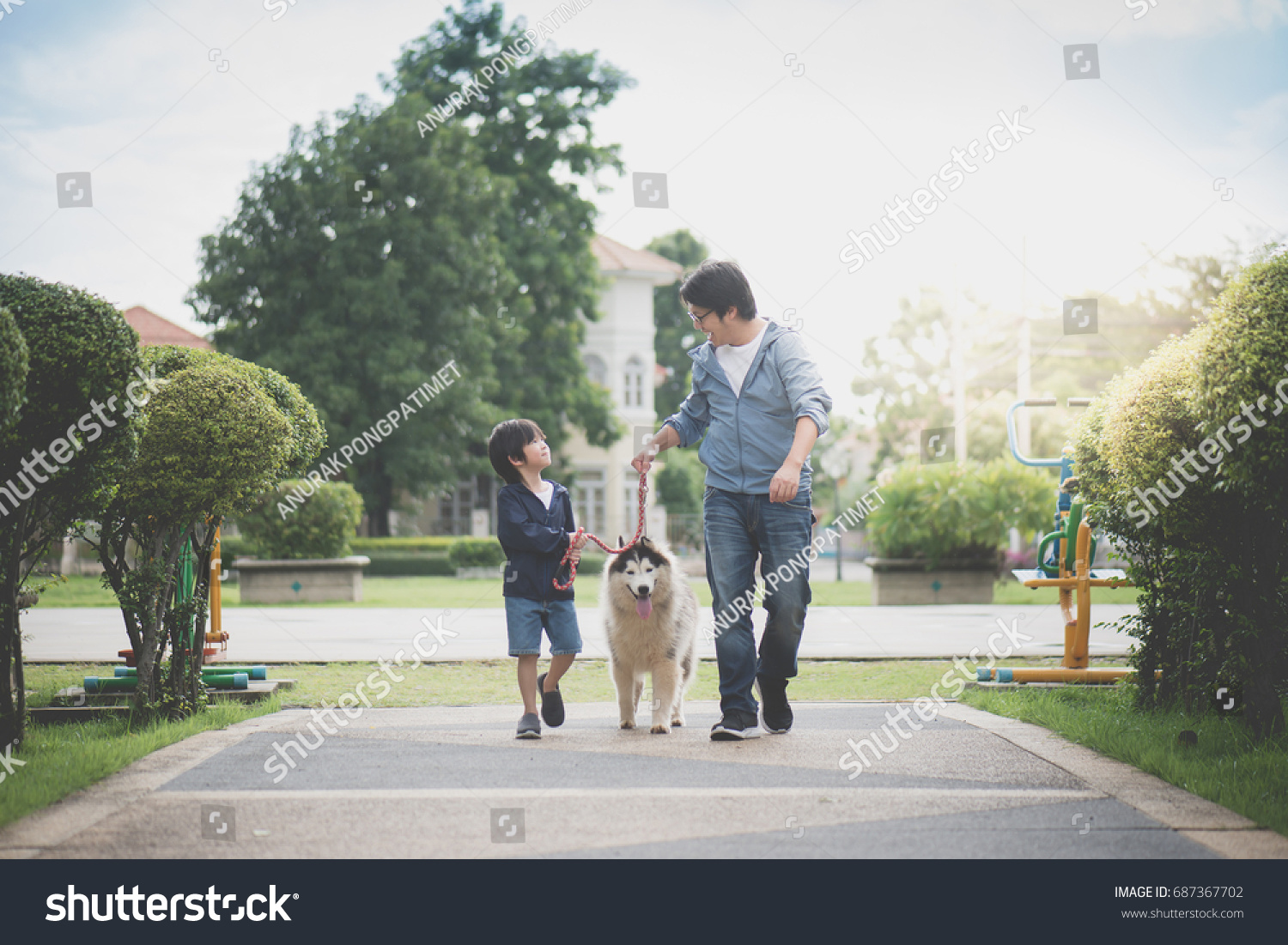 Asian father and son walking with a siberian husky dog in the park