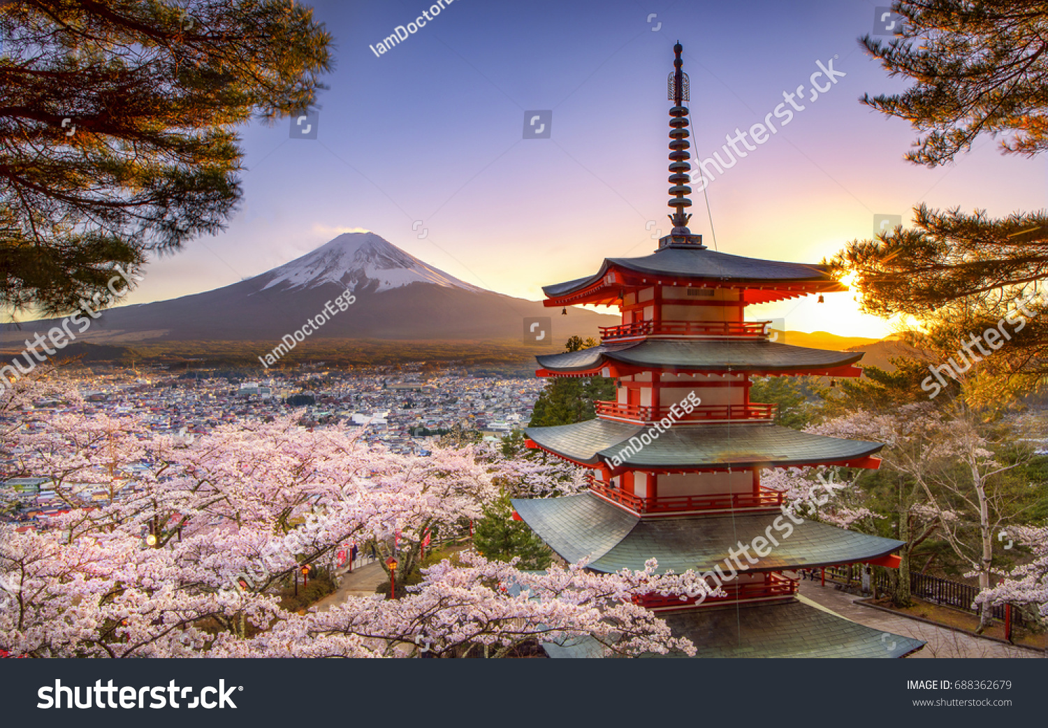 Fuji Mountain and Shibazakura Garden Festival in Spring