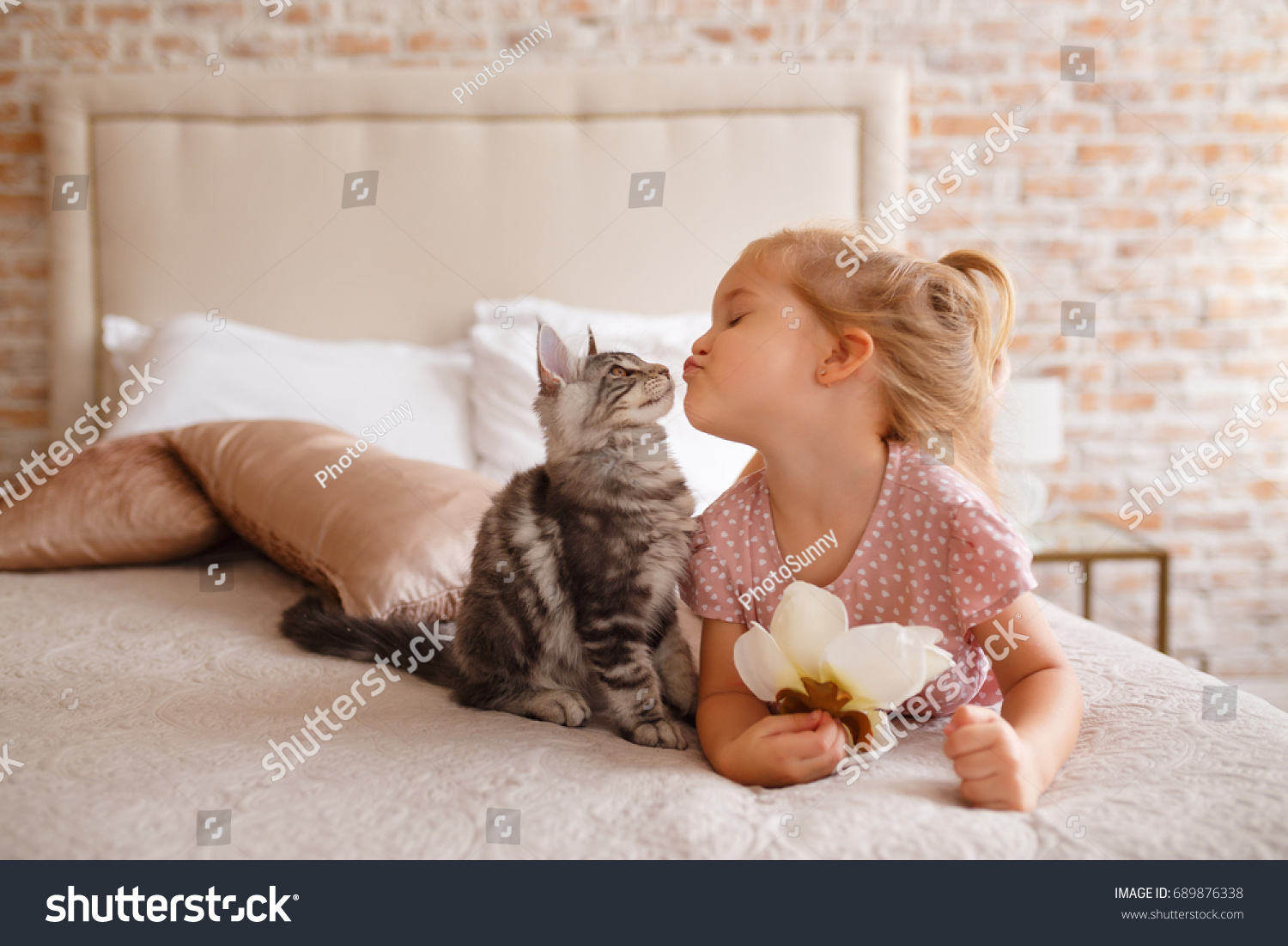 Little girl relaxing on the bed with her kitten. Child is kissing a cat