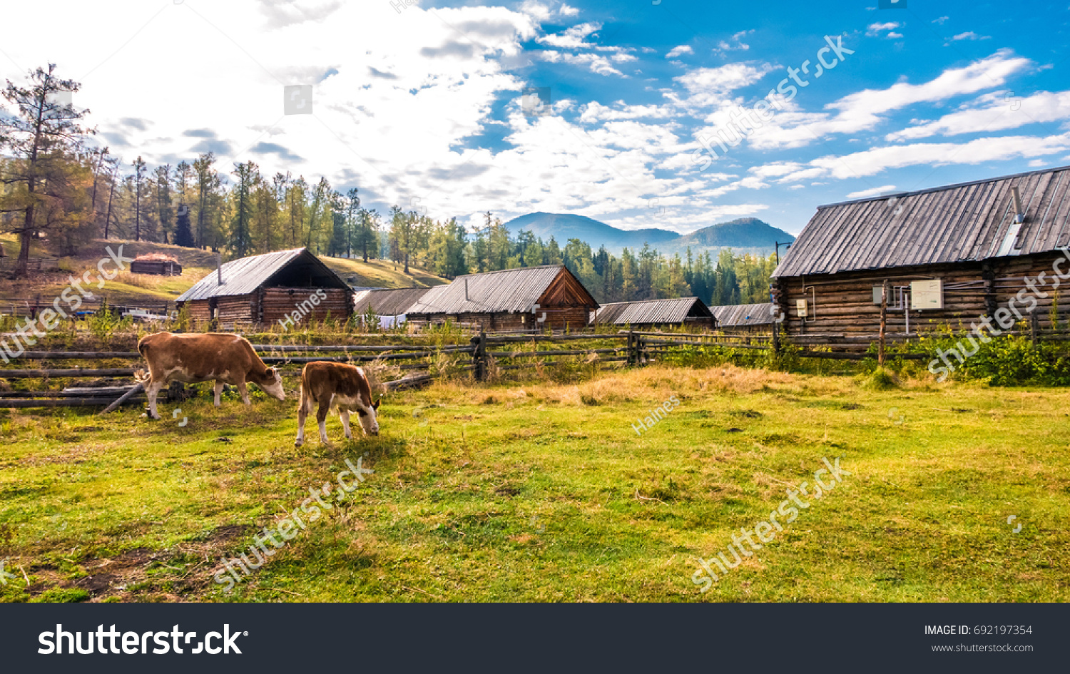 Xinjiang Hemu Village Autumn scenery