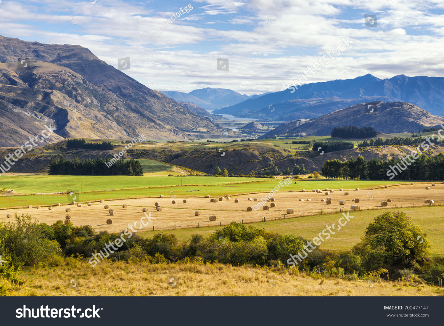 Farmland at Queenstown  New Zealand