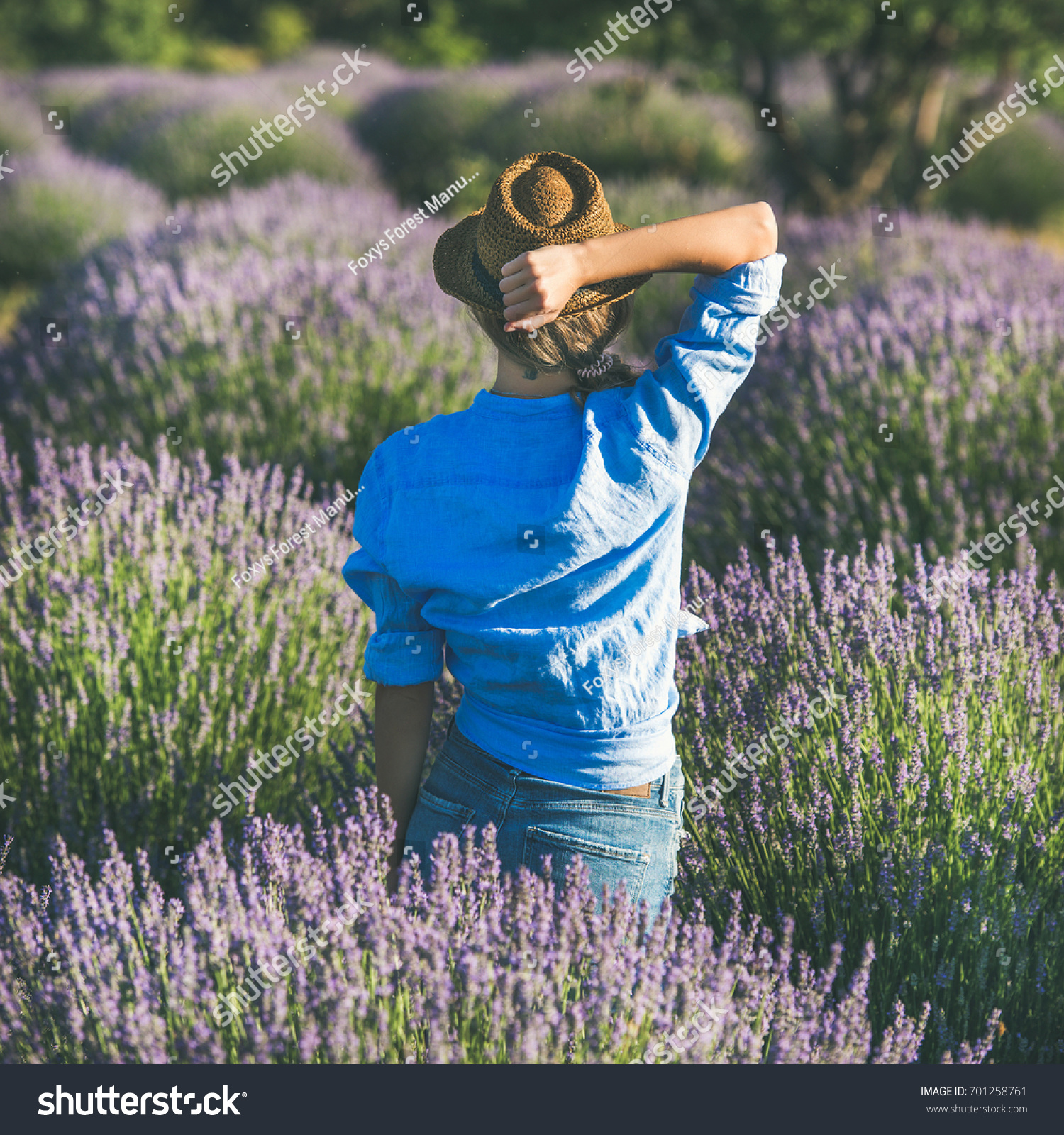 Young blond curly haired woman traveller wearing straw hat blue shirt and denim shorts enjoying lavender field surrounded with lavender flowers in Isparta region of Turkey rear view square crop