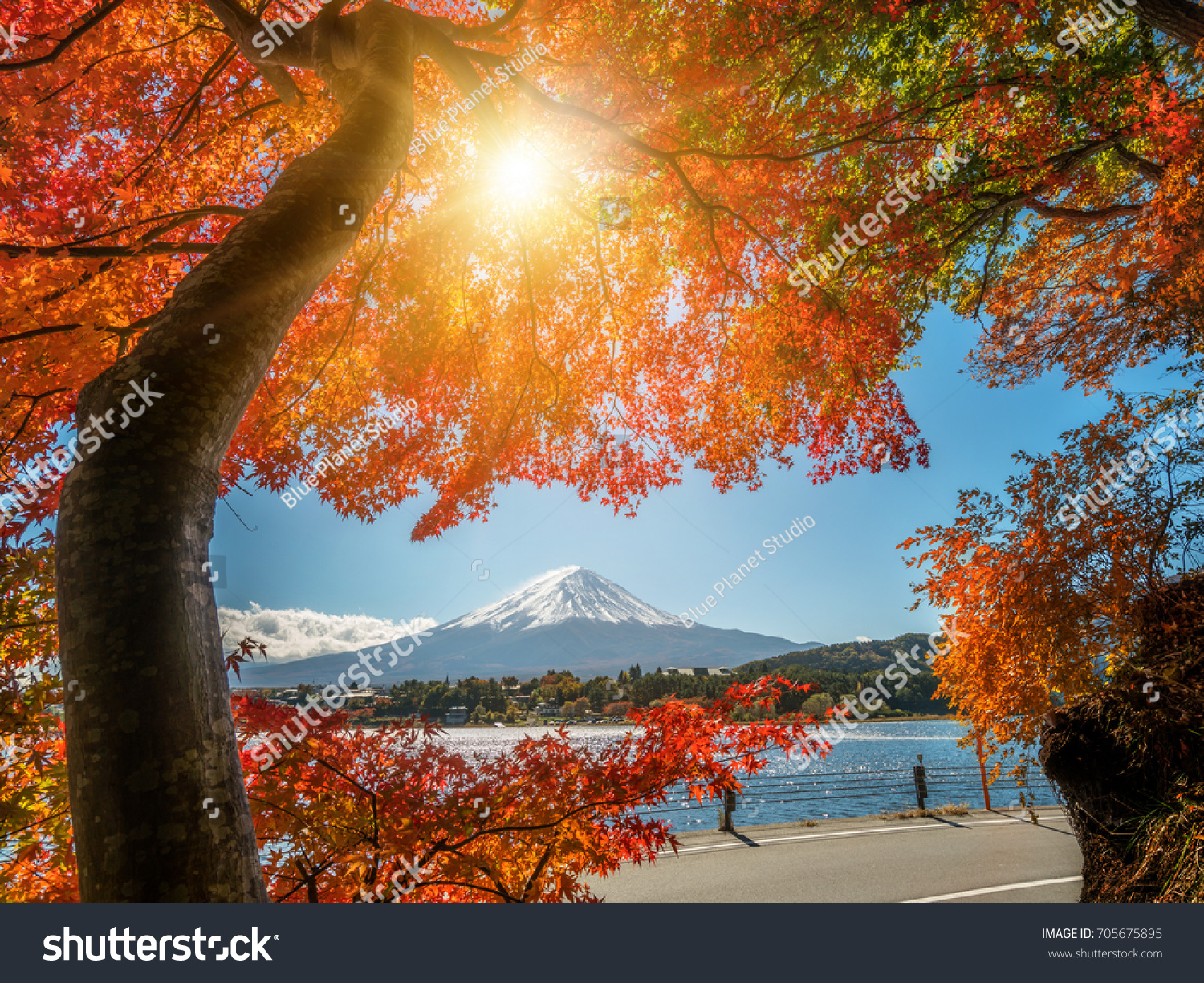Mount Fuji  Japan from Lake Kawaguchiko in Autumn.
