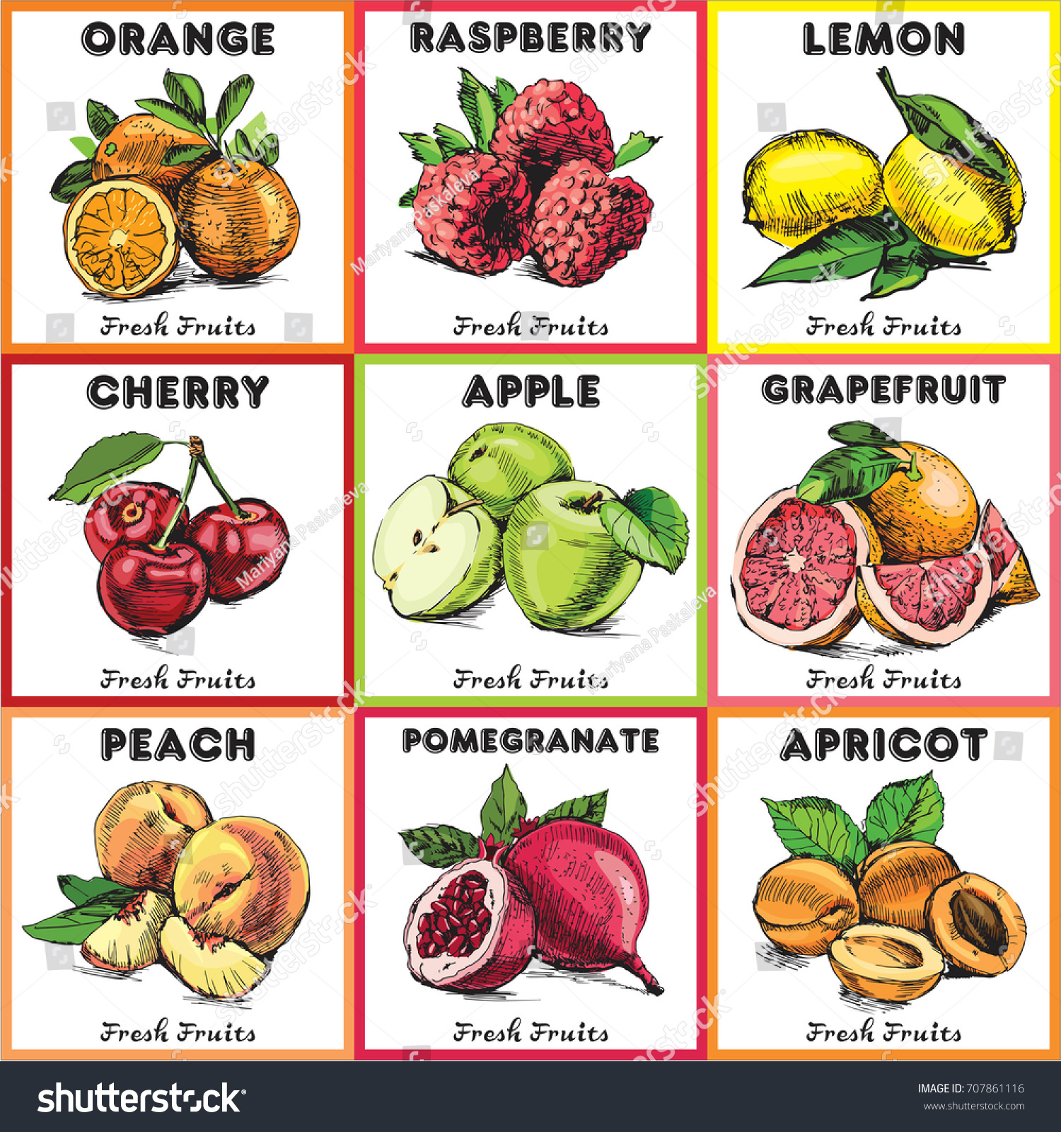 Eco food labels set. Hand drawn color sketch fruits. Farmers market logo. Fresh fruit vintage banner. Vector illustration
