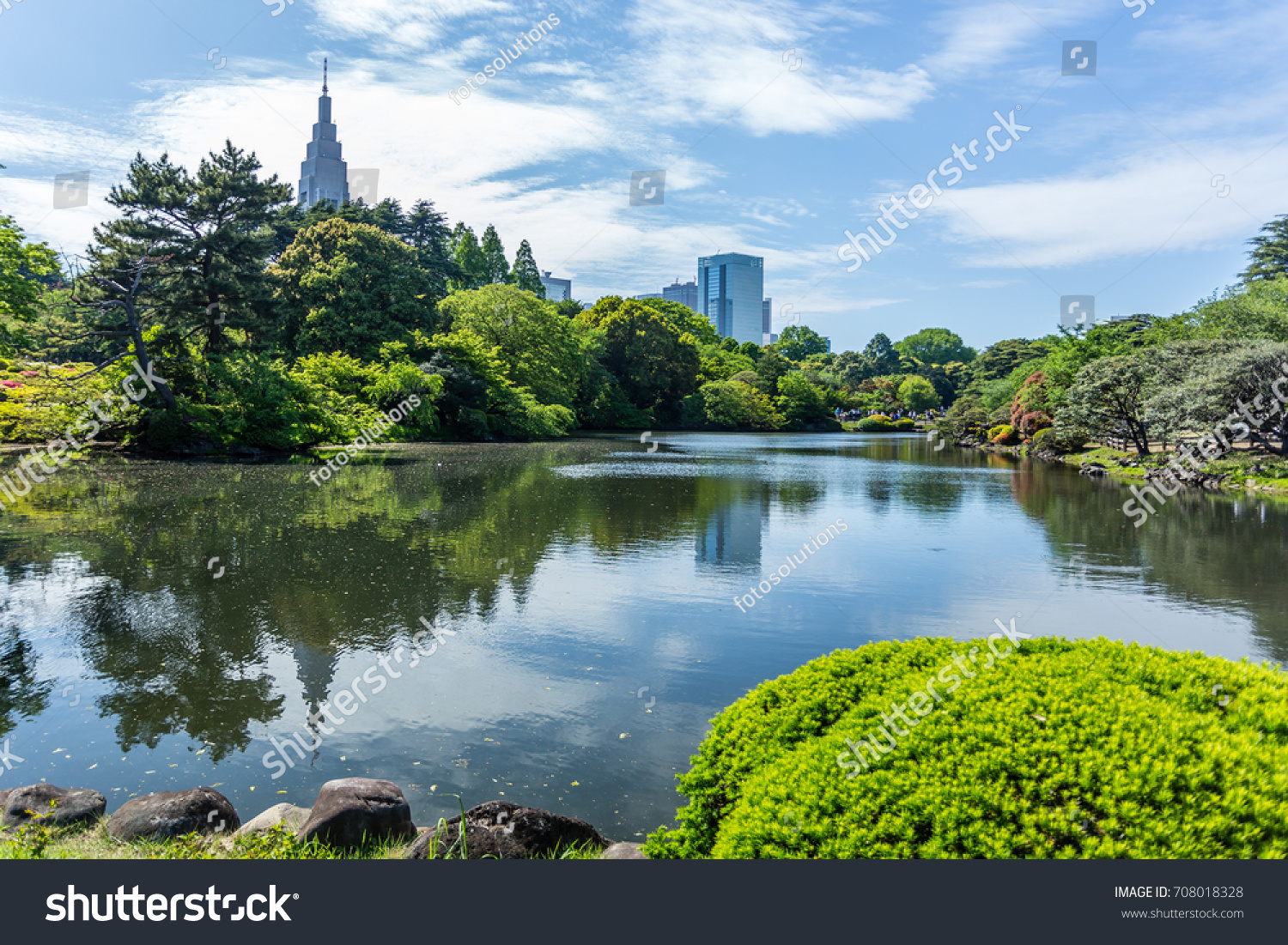 View on pond in park in Tokyo  Japan