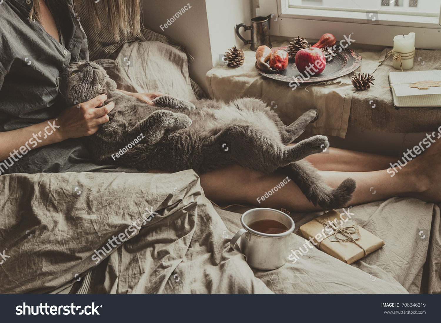 Cozy home. Woman with cute gray cat sitting in bed by the window.