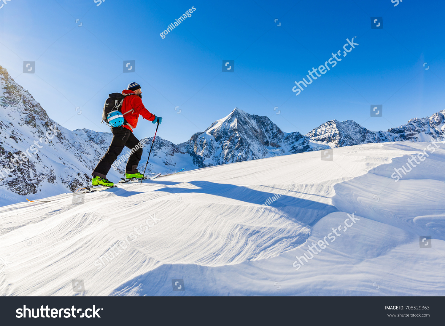 Mountaineer backcountry ski walking up along a snowy ridge with skis in the backpack. In background blue sky and shiny sun and Zebru  Ortler in South Tirol  Italy.  Adventure winter extreme sport. 