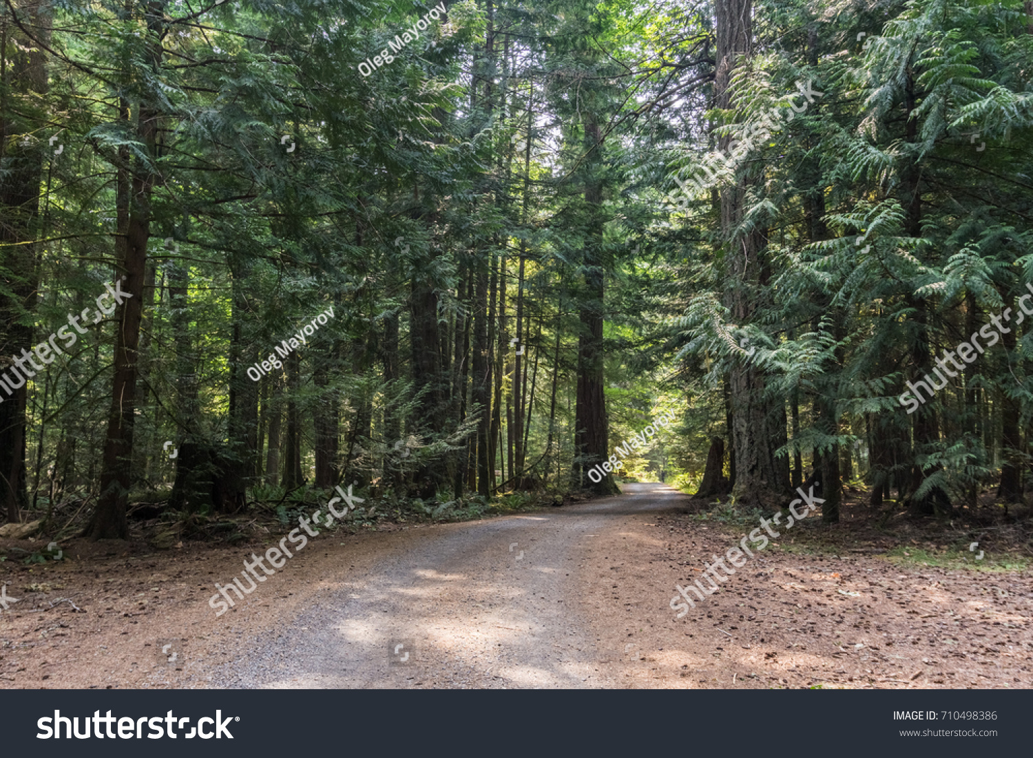 pathway，pathway tracked