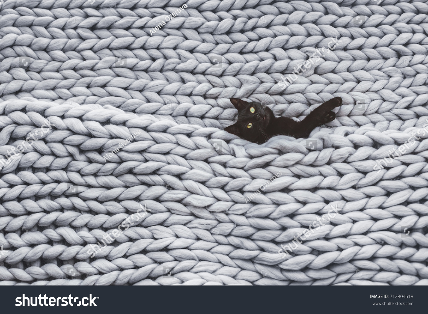 Black cat relaxing on knitted woolen chunky blanket. Funny kitty in the warm soft bed. Scandinavian style hygge cozy concept.