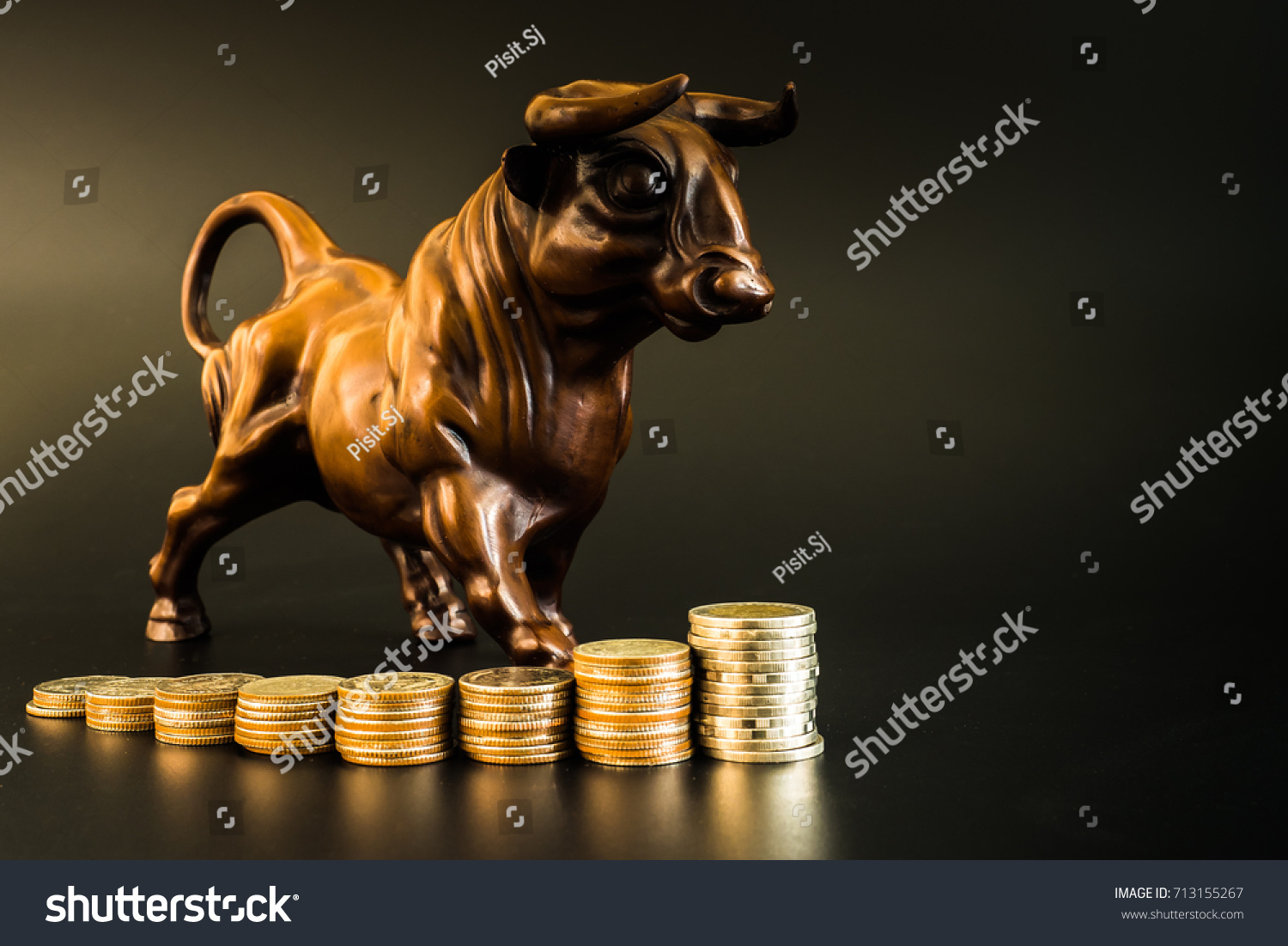 Financial investment in bull market. How to trade in risk valuation situation. Money was allocate to portfolio efficiency. Investor can get more capital gain and dividend