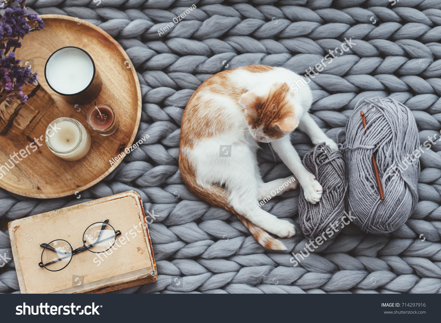 Ginger kitten relaxing on knitted woolen chunky blanket. Book and wooden tray with home decor on the warm soft bed. Scandinavian style  autumn weekend cozy concept.