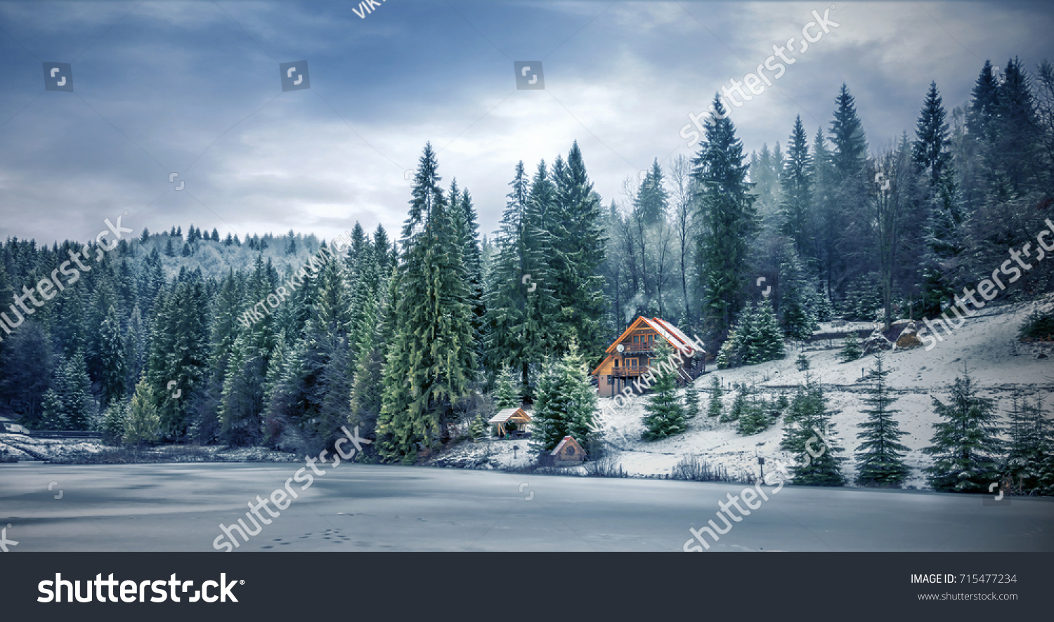 Winter forest in the Carpathians on Lake Vito