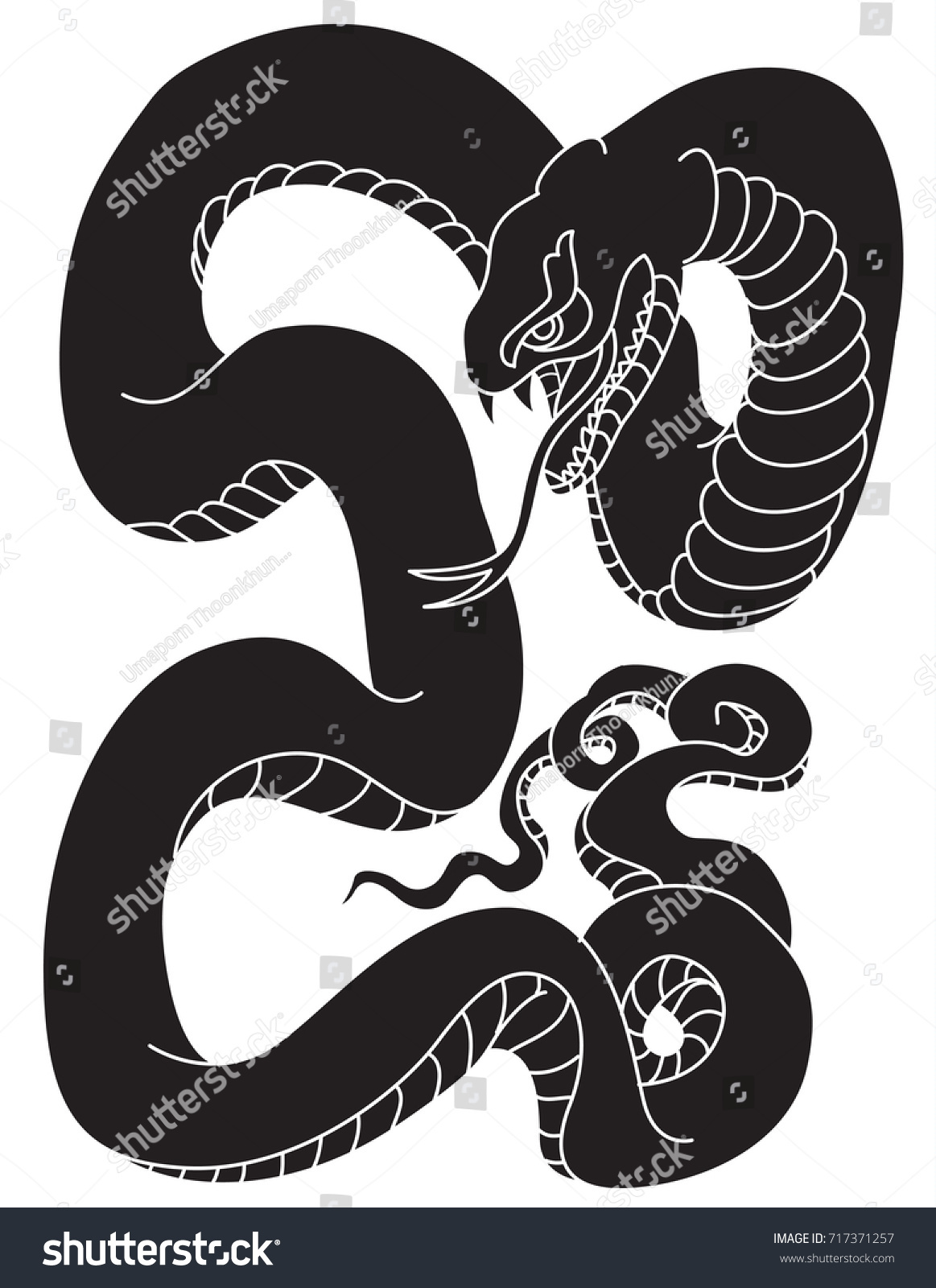 Japanese snake tattoo style vector illustration.