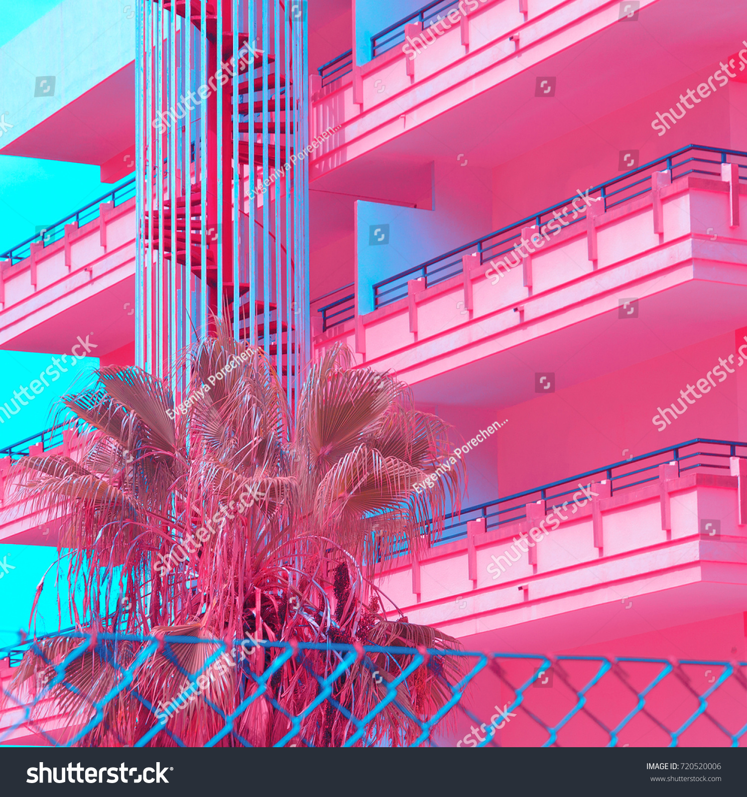 Minimal Urban Pink. tropical palm trees. Art fashion
