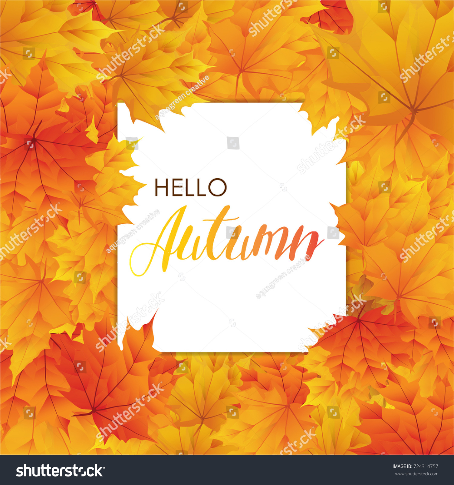 Hello autumn with realistic maple leaf background and white paper blank space