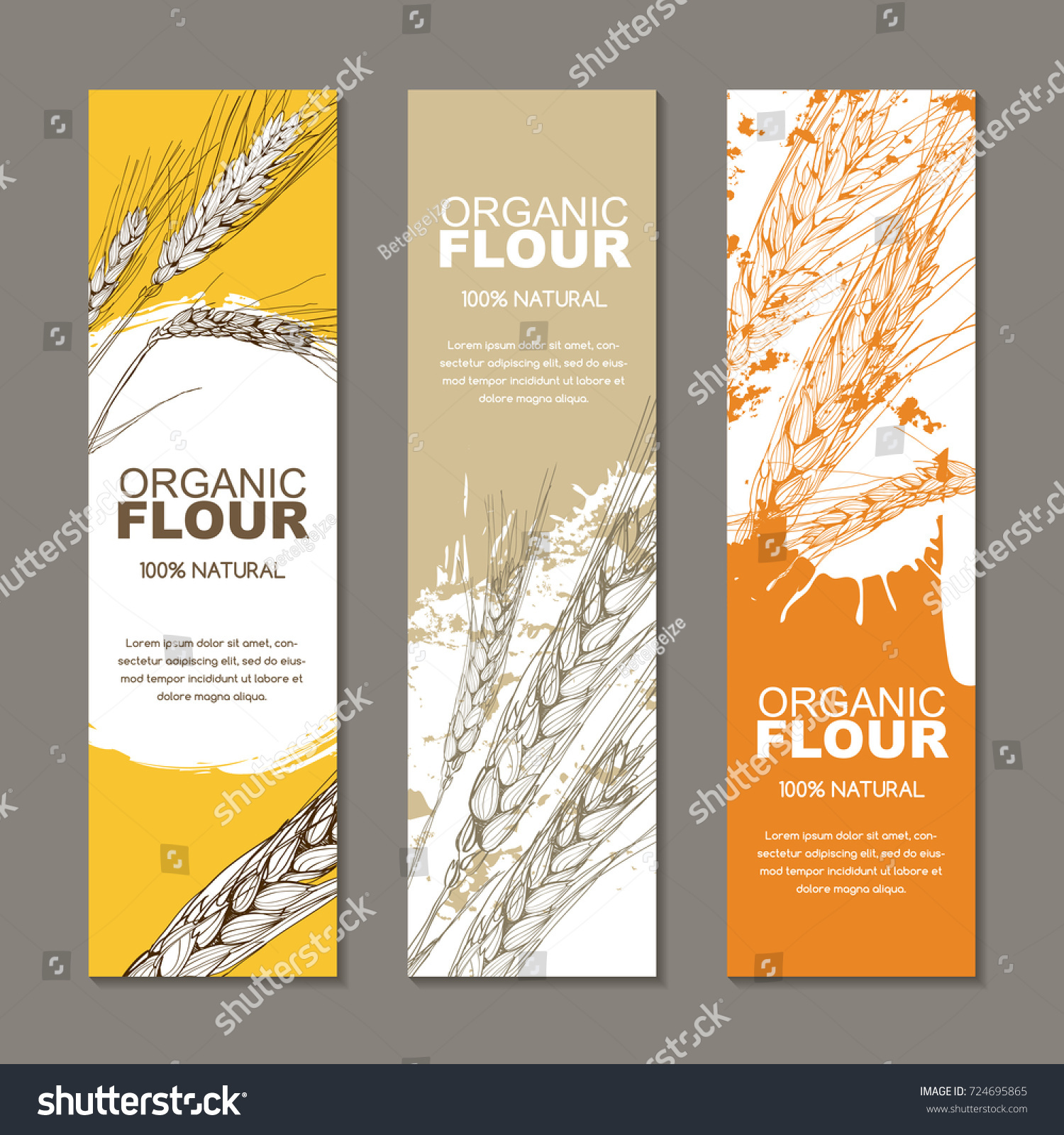 Set of vector backgrounds for label  package. Sketch hand drawn illustration of wheat ears. Concept for organic flour  harvest and agriculture  grain  cereal products  bakery  healthy food.