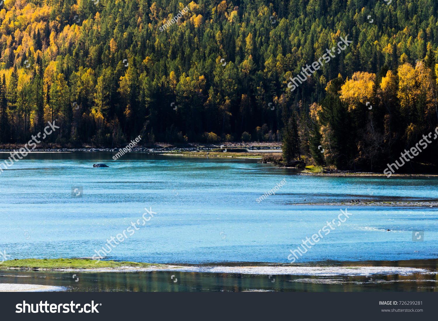 View of river at Immortal bay in Kanas lake  autumn time  Xinjiang  China. 