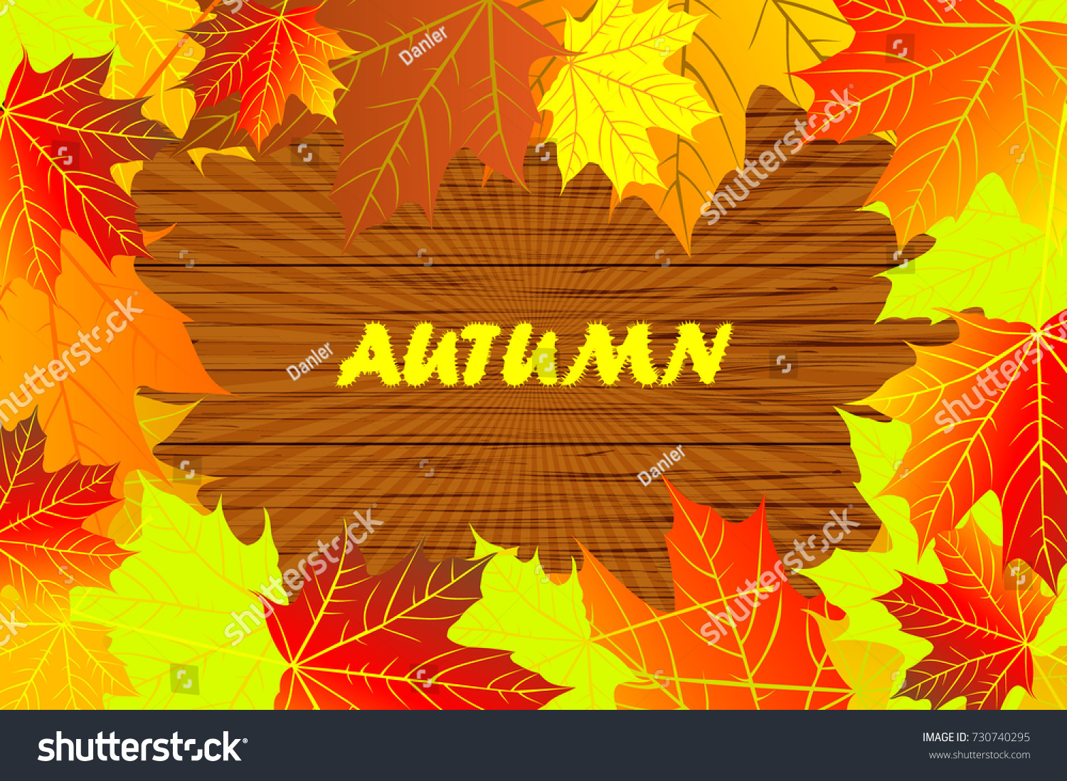 autumn - maple leaves - vector background  Autumnal leaf of maple  (Acer)  
