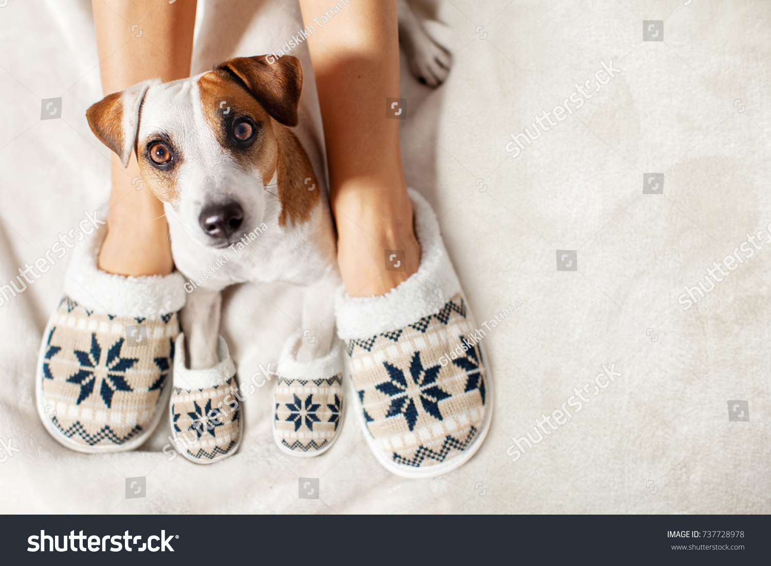 Female and dog in slippers. Warm clothing family home