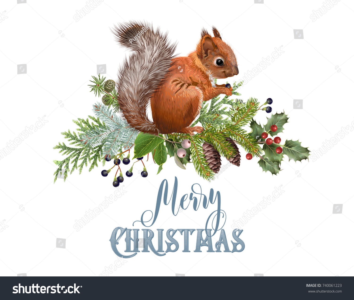 Vector Christmas Composition With Winter Forest Branches And Squirrel