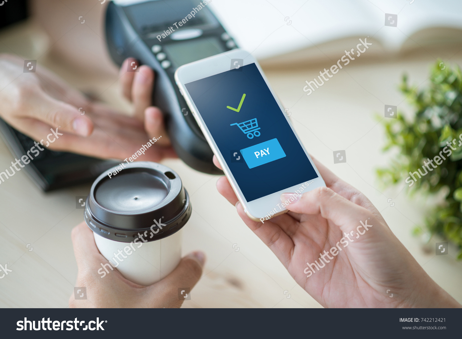 mobile payment  online shopping concept