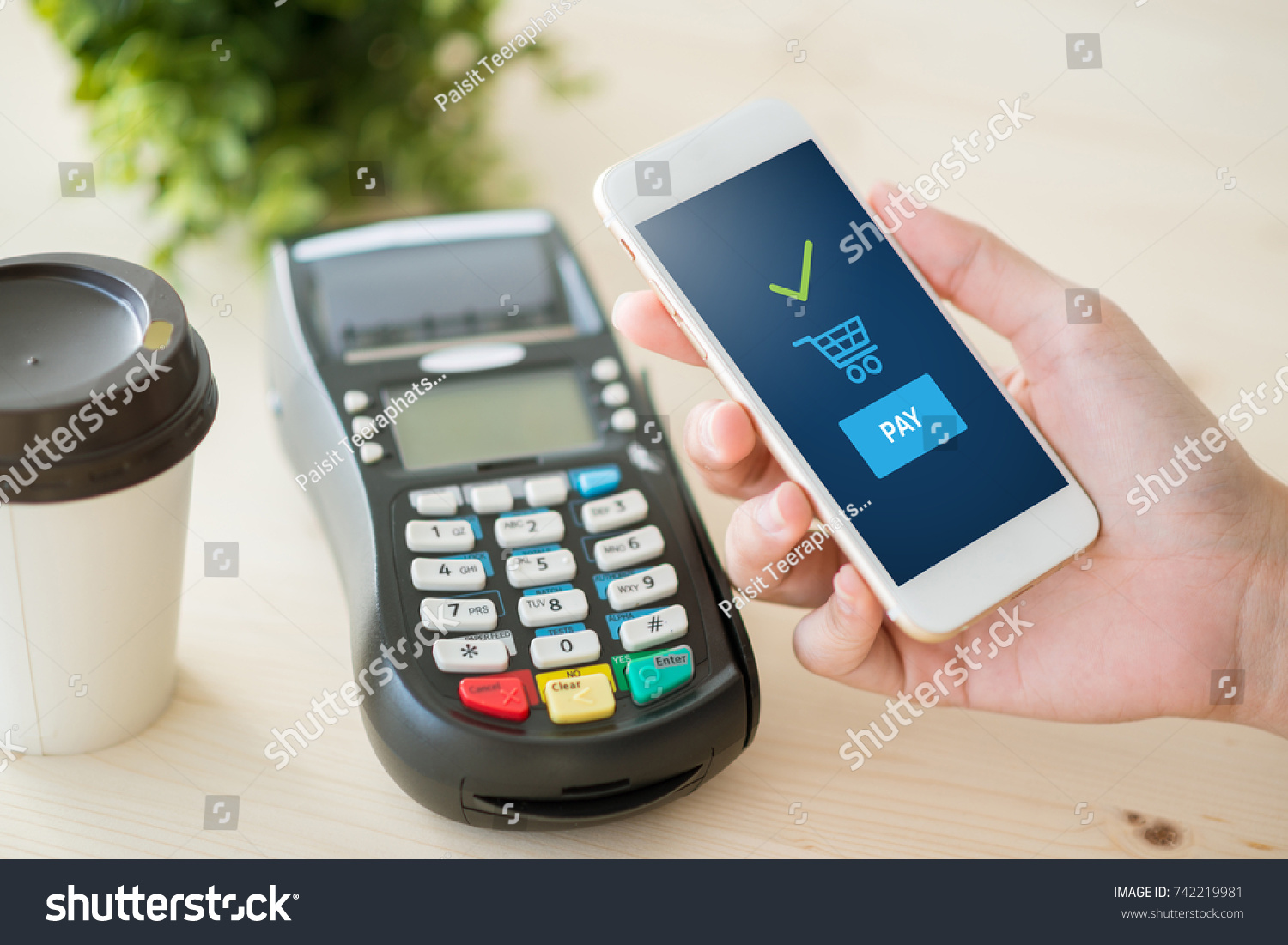 mobile payment  online shopping concept