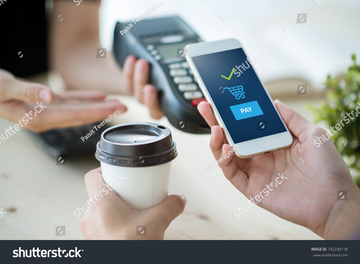 mobile payment  online shopping concept