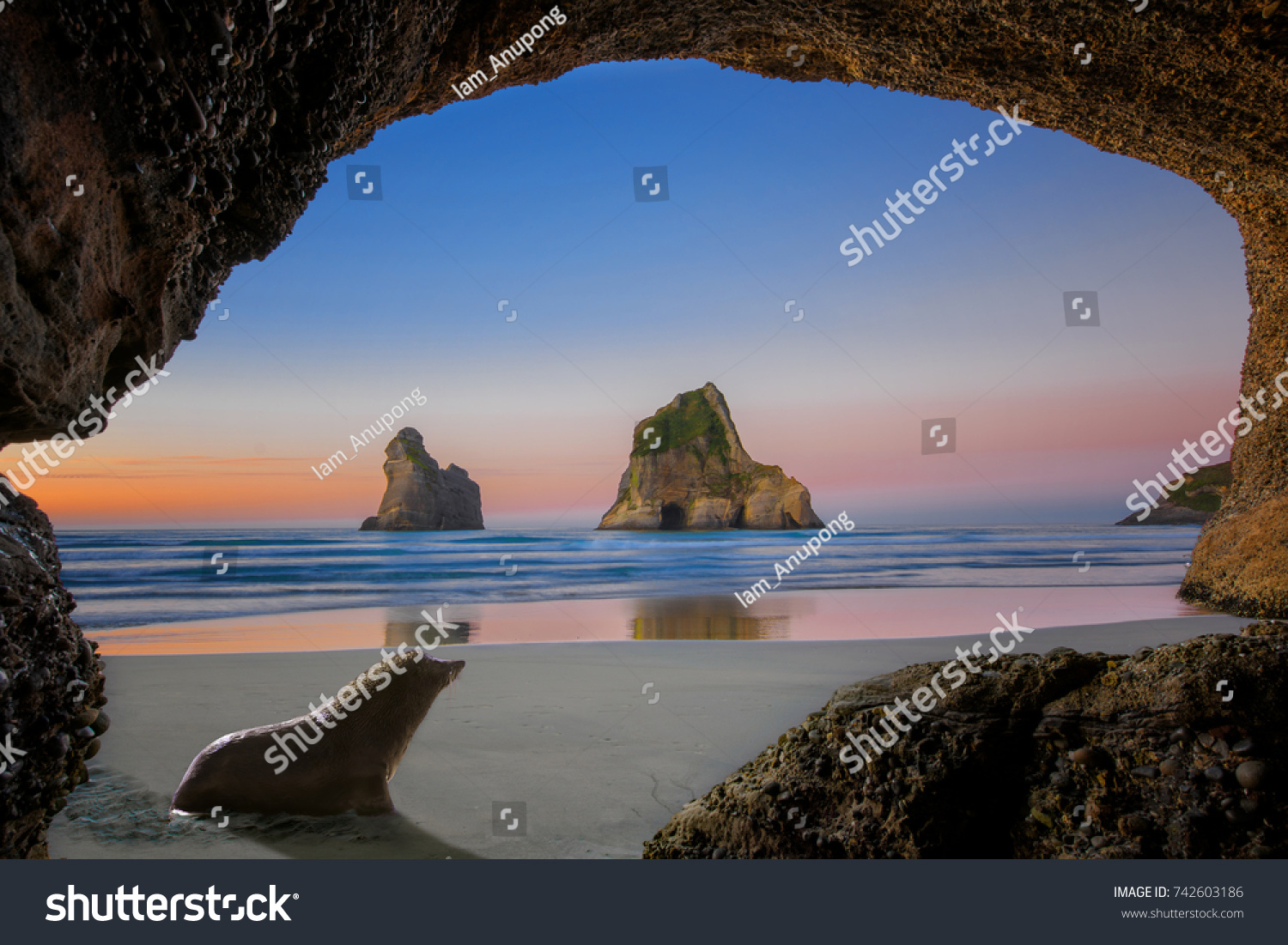 view from the cave of wharariki beach landmark of popular tourist place in south new zealand  tasman sea  nature keep always clean and original with seal coming home to the cave