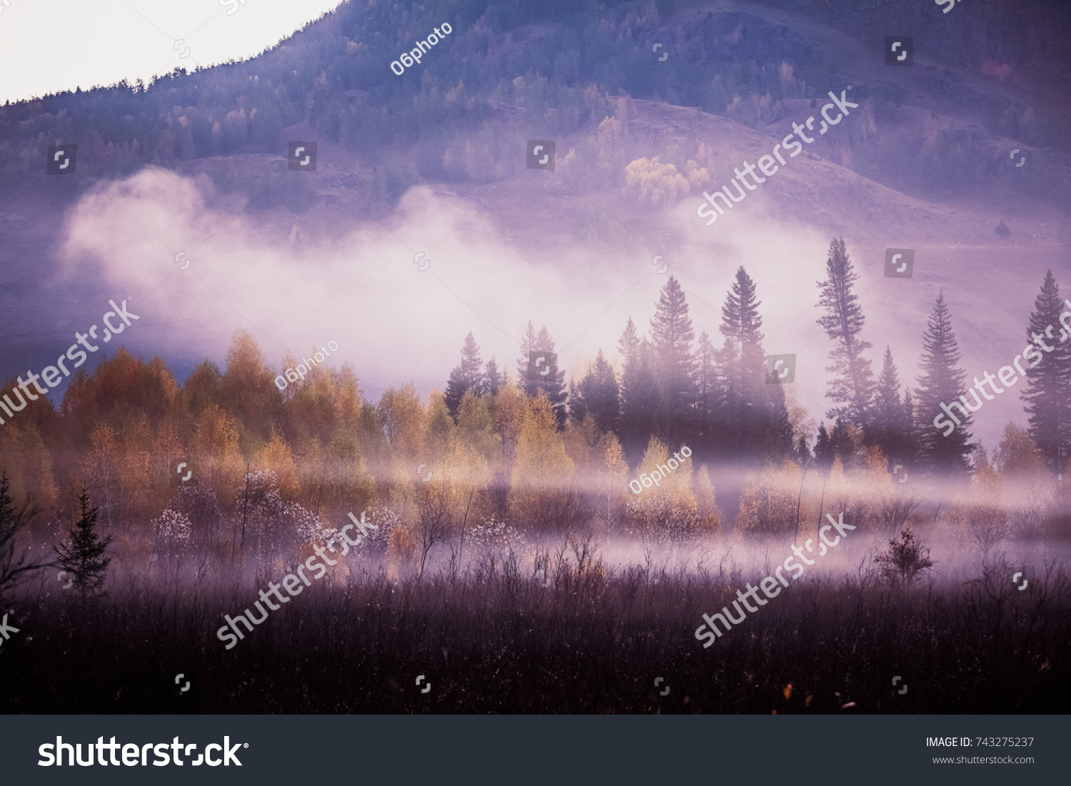 forest and river in Kanas