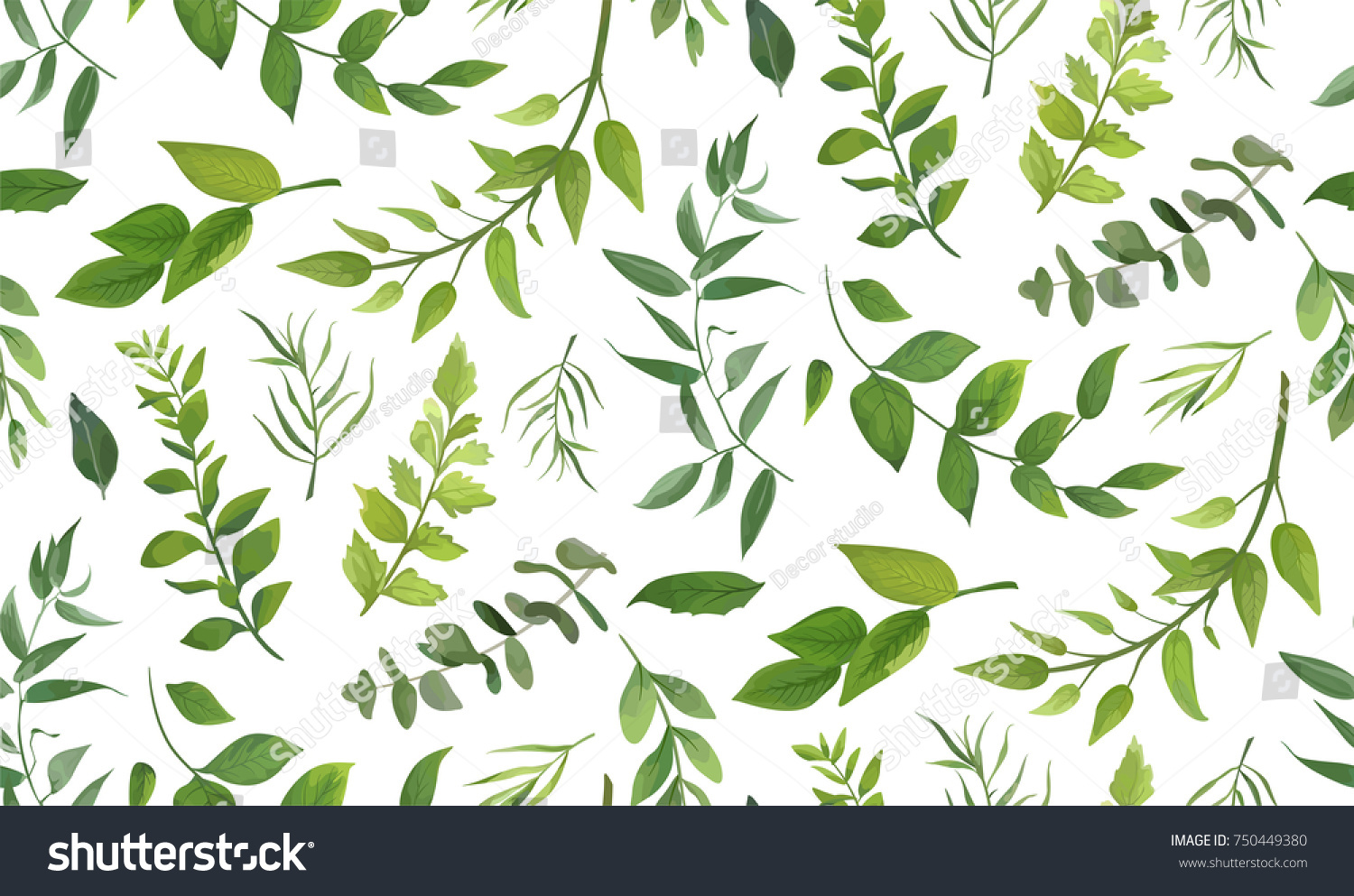 Seamless pattern of Eucalyptus palm fern different tree  foliage natural branches  green leaves  herbs  tropical plant hand drawn watercolor Vector fresh beauty rustic eco friendly background on white