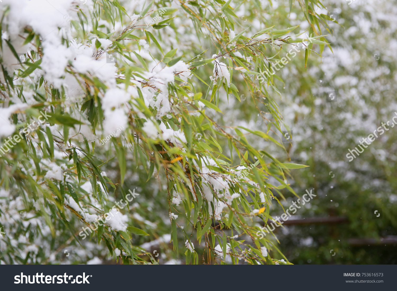 Korean Drama Baekje Buyeo Seodongyo Theme Park