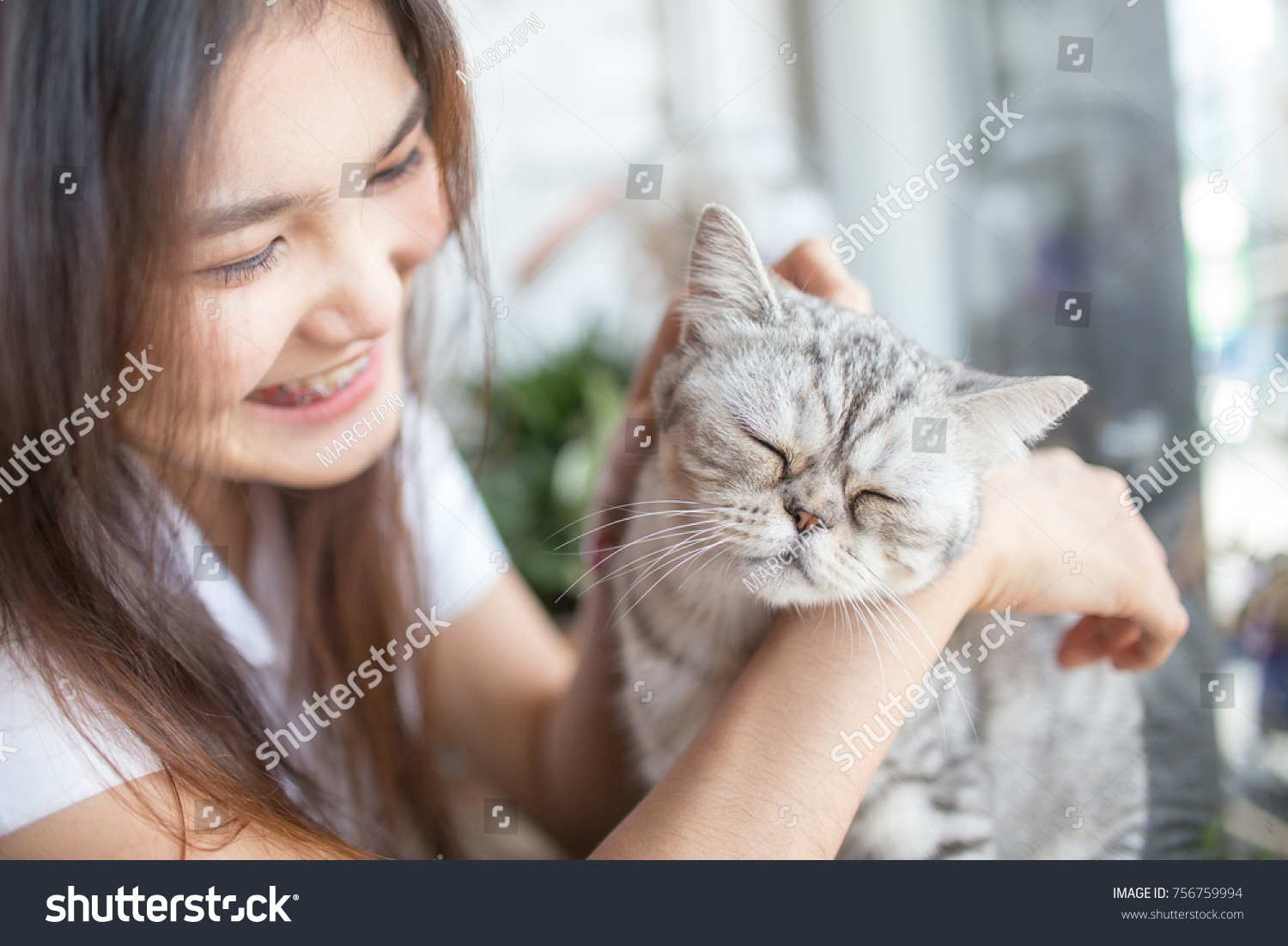 Student asian girl playing with her cat in the coffee shop.