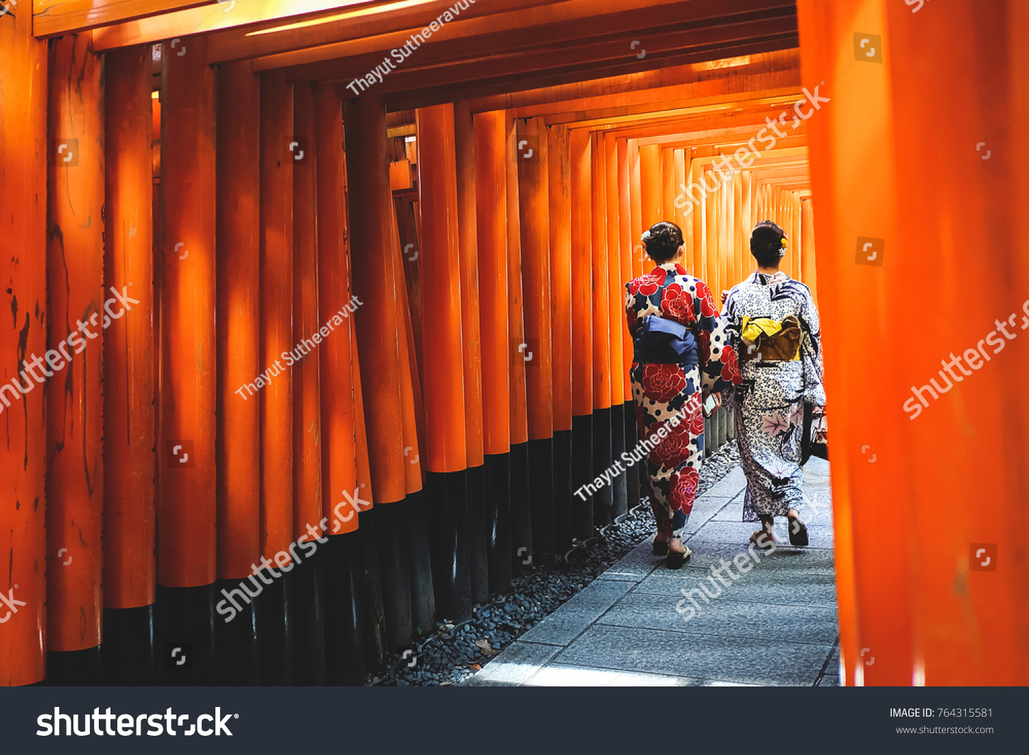 预览