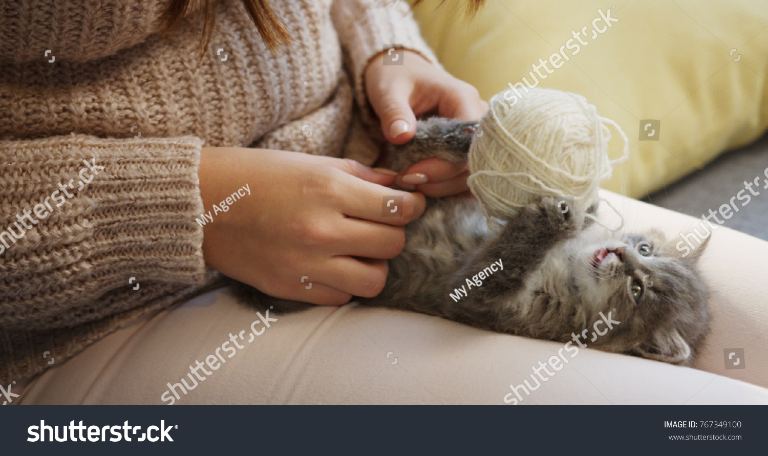 Close up of a grey small kitty lying on the back and playing with a ball of thread on the woman's knees.. Indoor