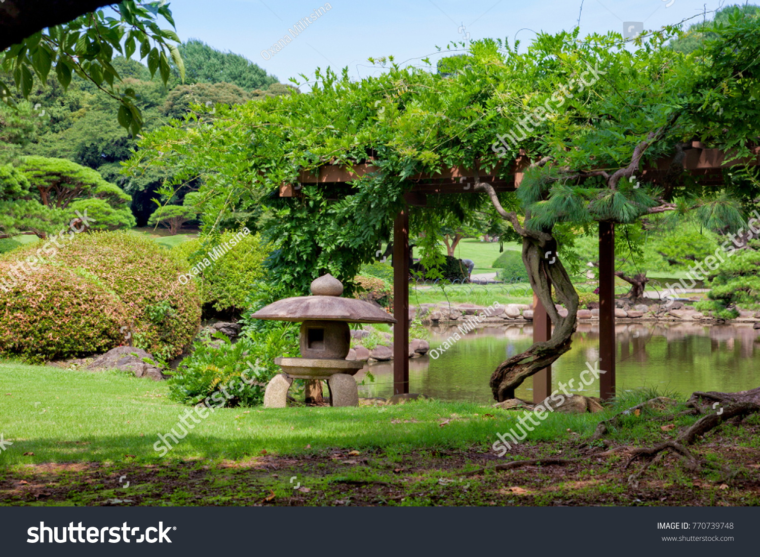 Shinjuku Gyoen National Garden. Tokyo. Japan.