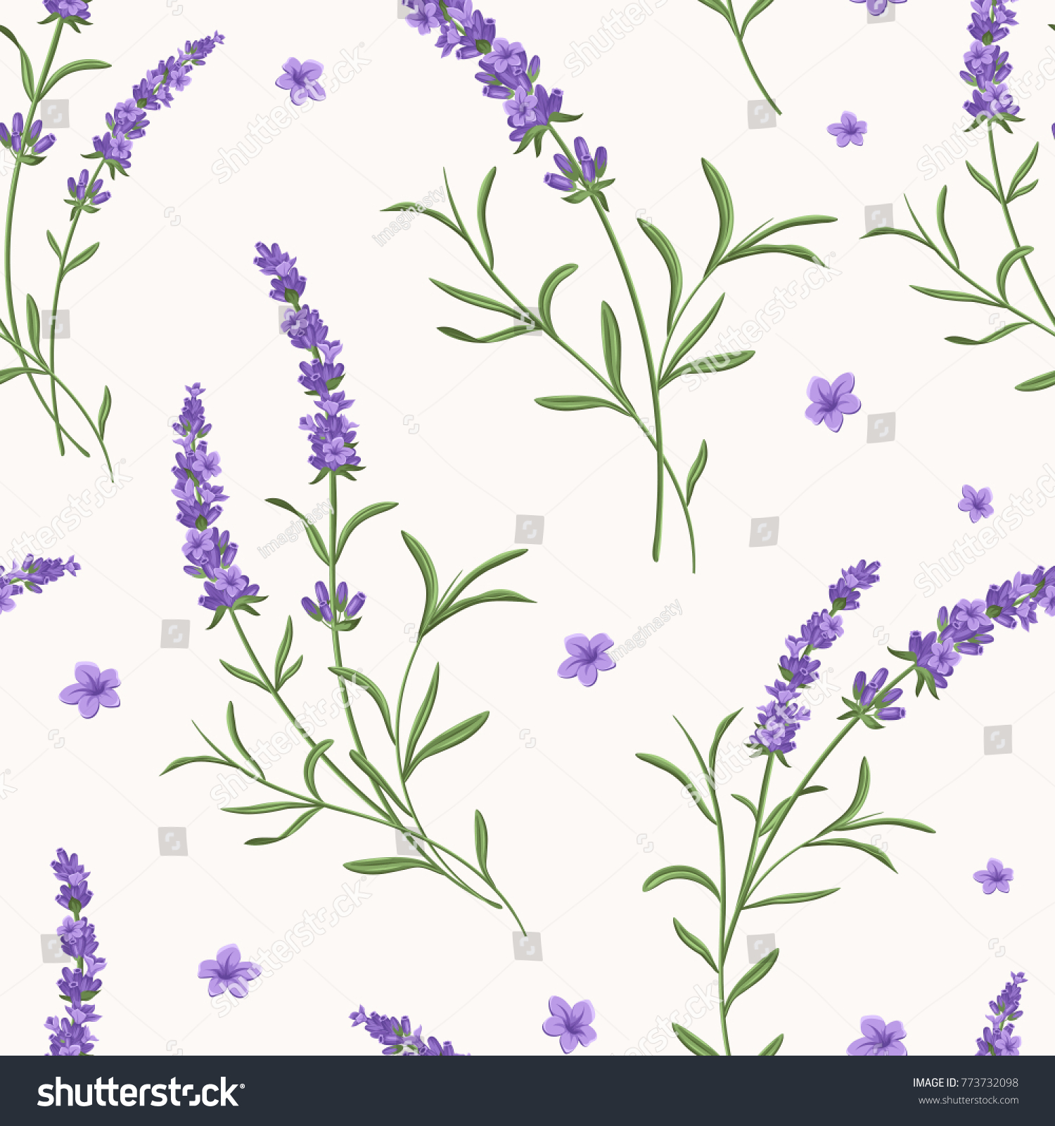 Beautiful violet lavender flowers retro background on white