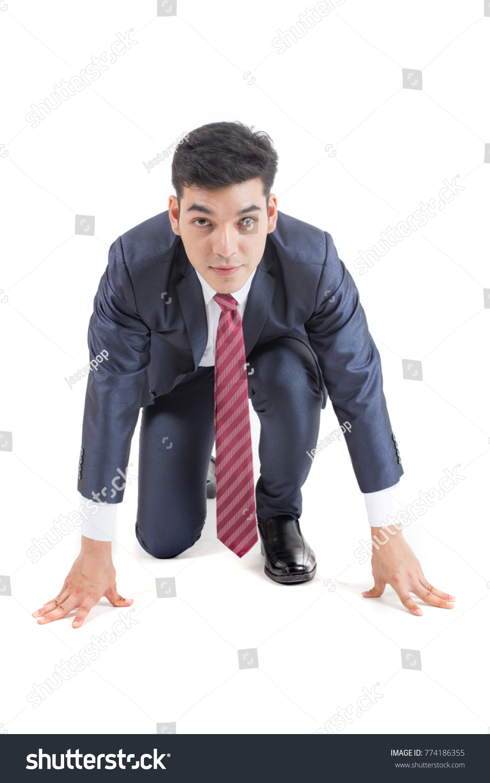 预览