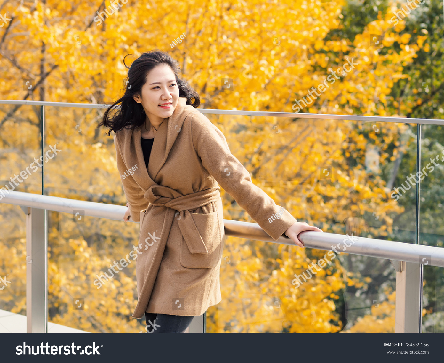 Portrait of a beautiful Chinese girl stand with golden autumn forest background.