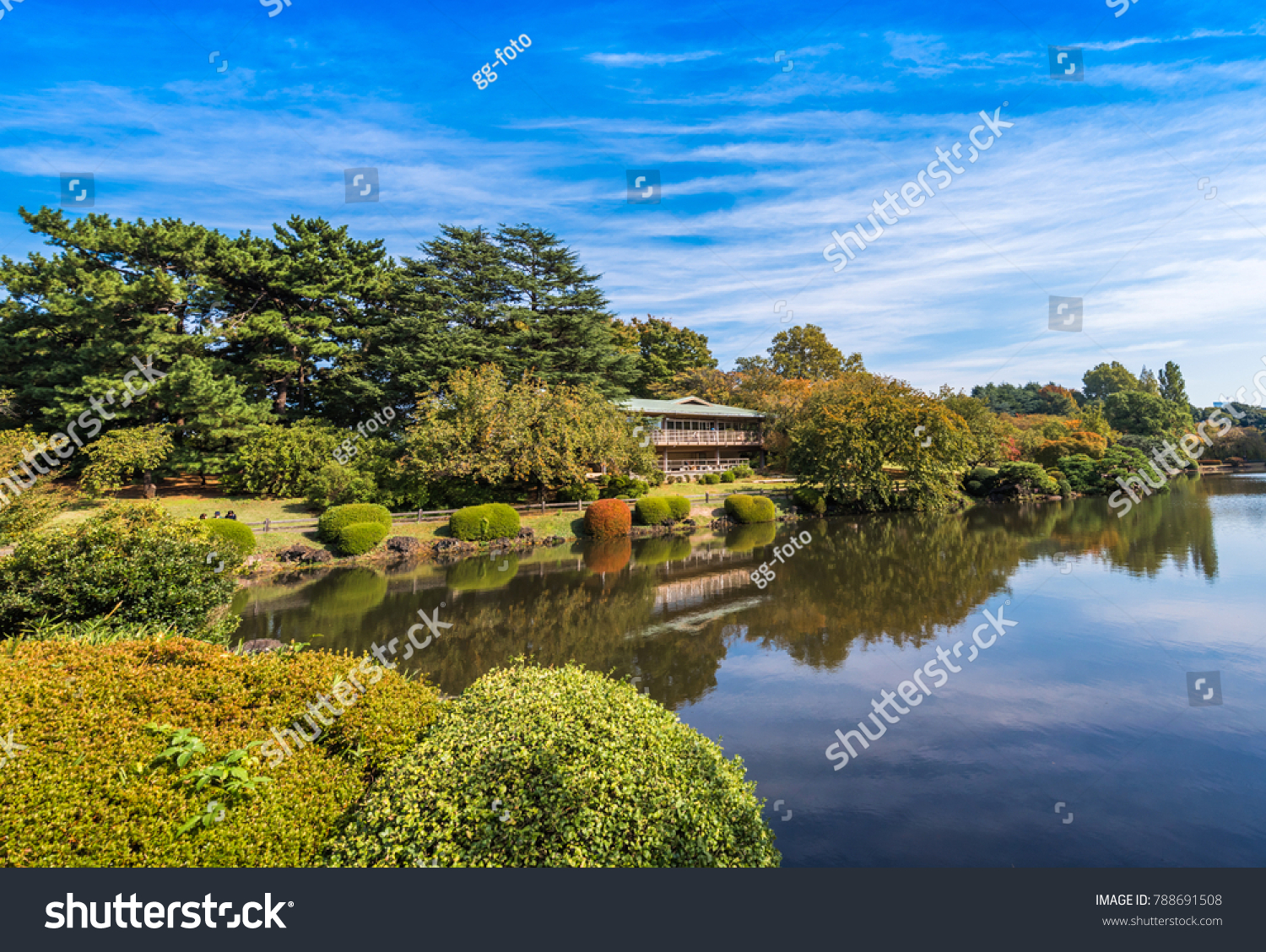 Autumn in the Shinjuku park  Tokyo  Japan. Copy space for text