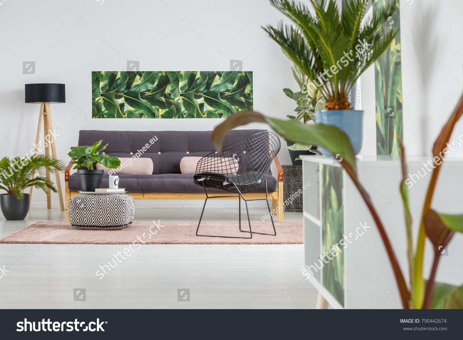 Metal chair and patterned pouf with plant on pink rug in living room interior with black settee and wooden lamp