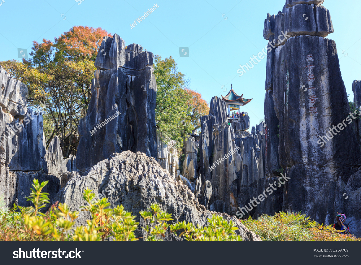 Stone forest near Kunming  Yunnan China