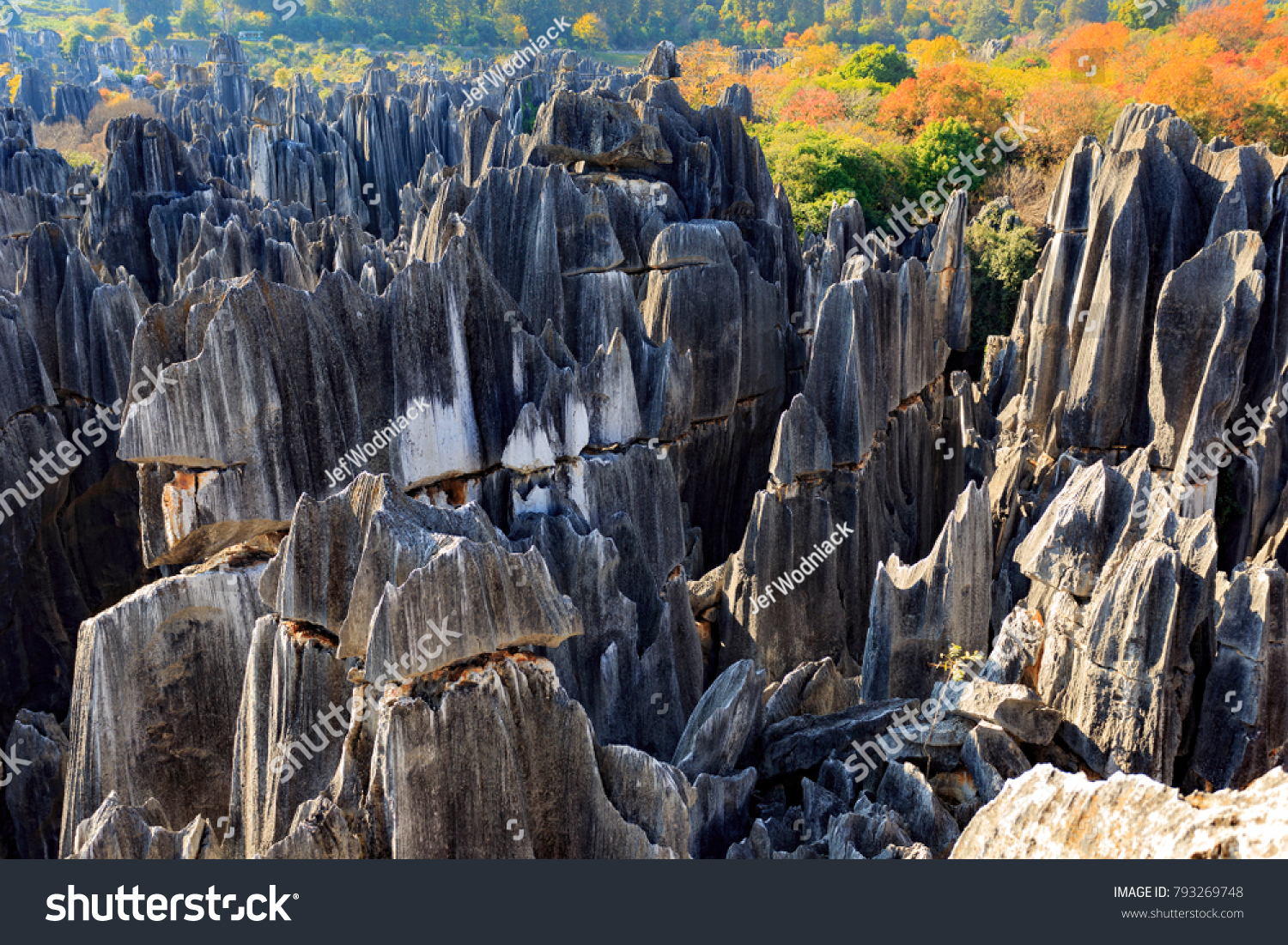 Stone forest near Kunming  Yunnan China
