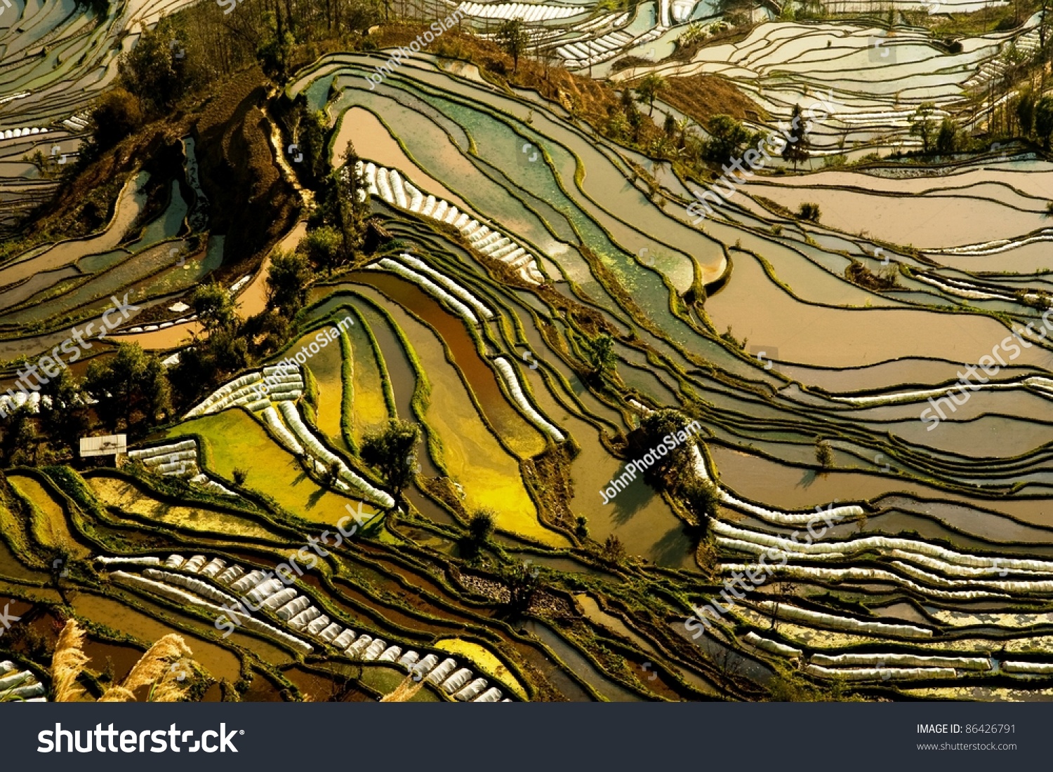 Hani rice terraces of yuanyang  yunnan  china