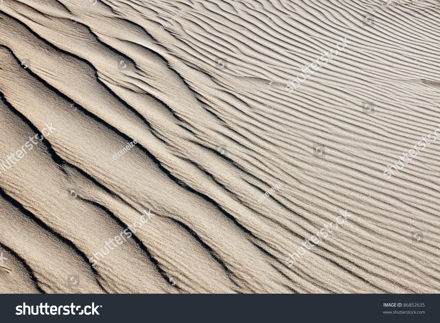 Background from a sand dune