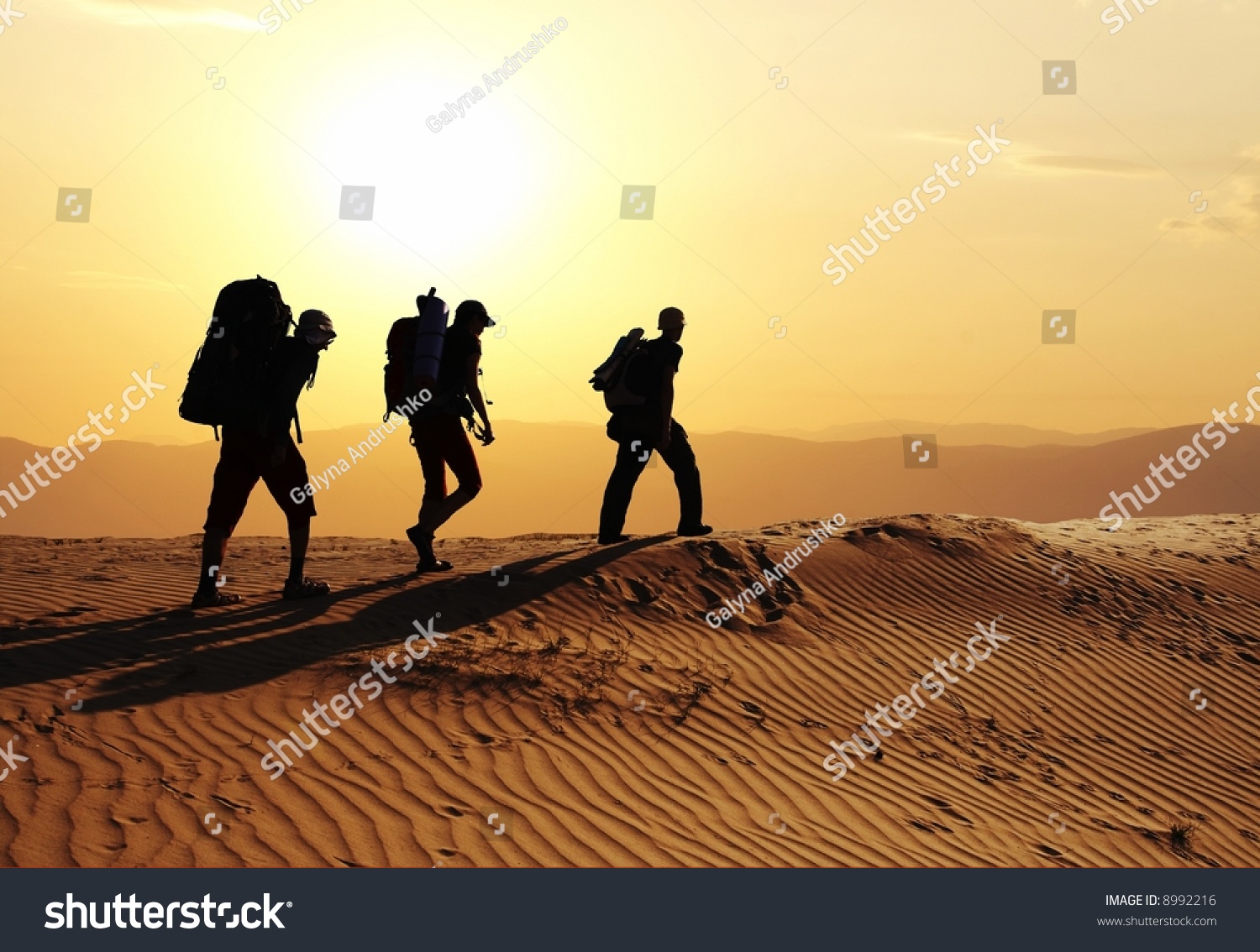 Group go up in sand desert