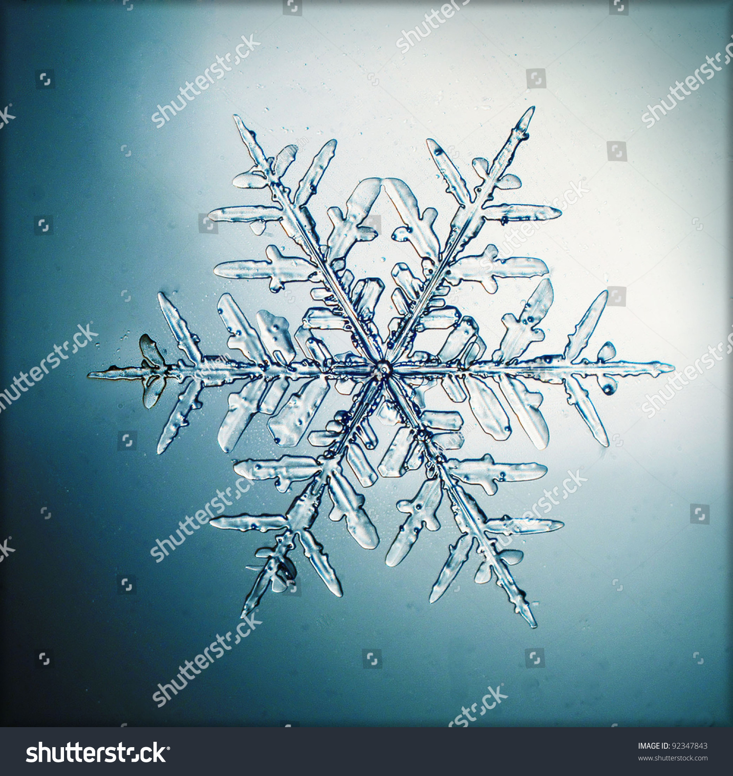 natural snowflake macro