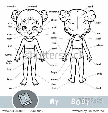 my body parts for a girl.